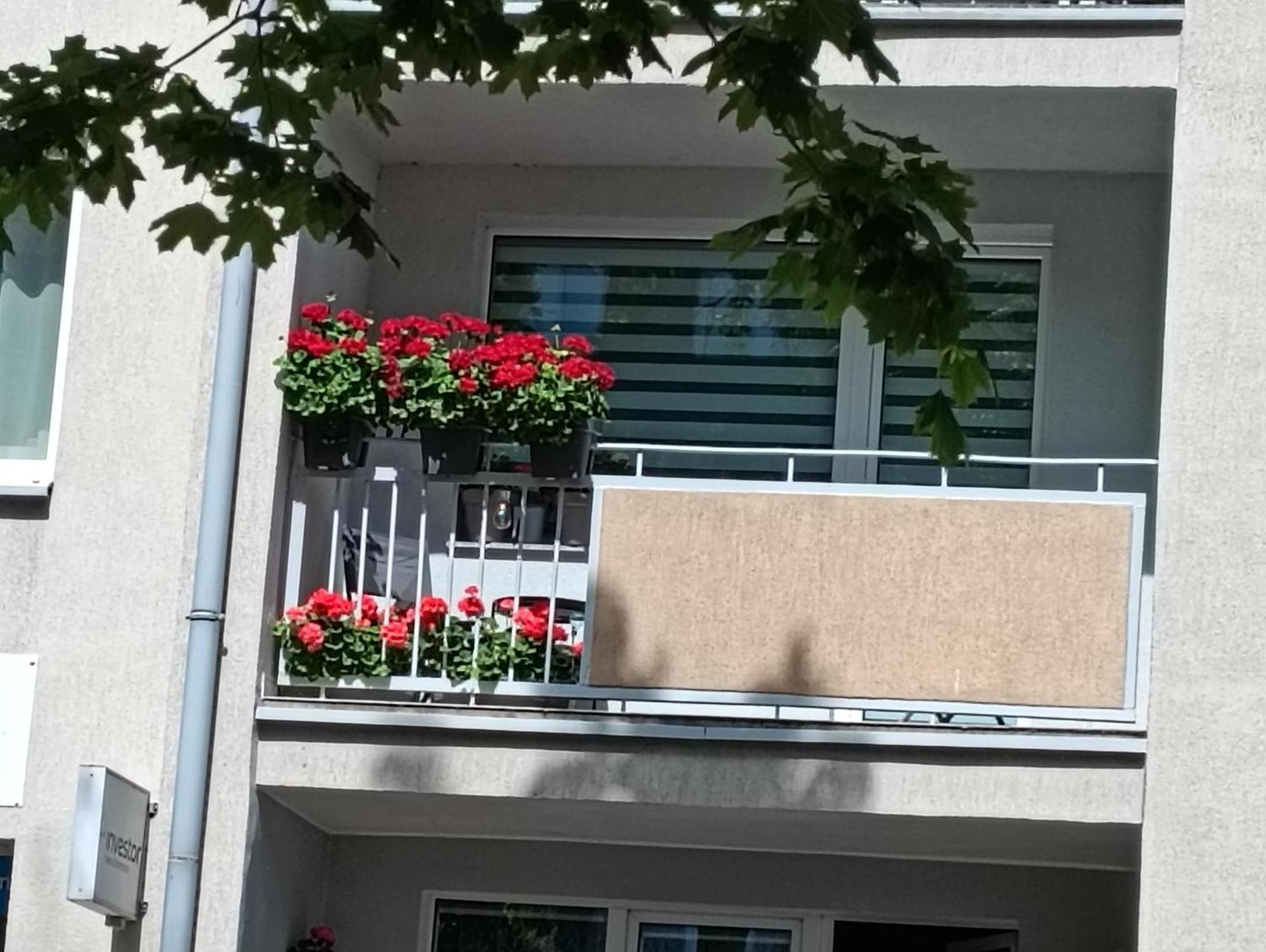 Ale Laba Apartment